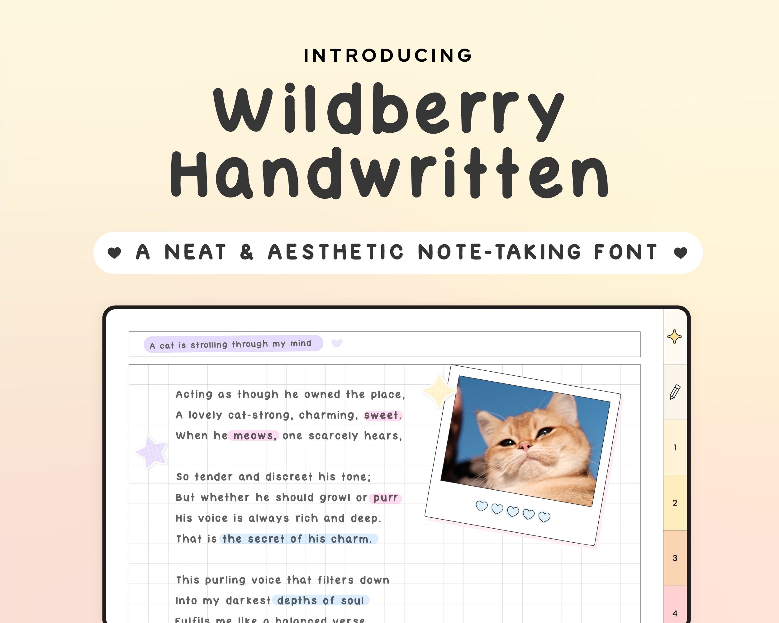 Wildberry Handwritten Font - Regular