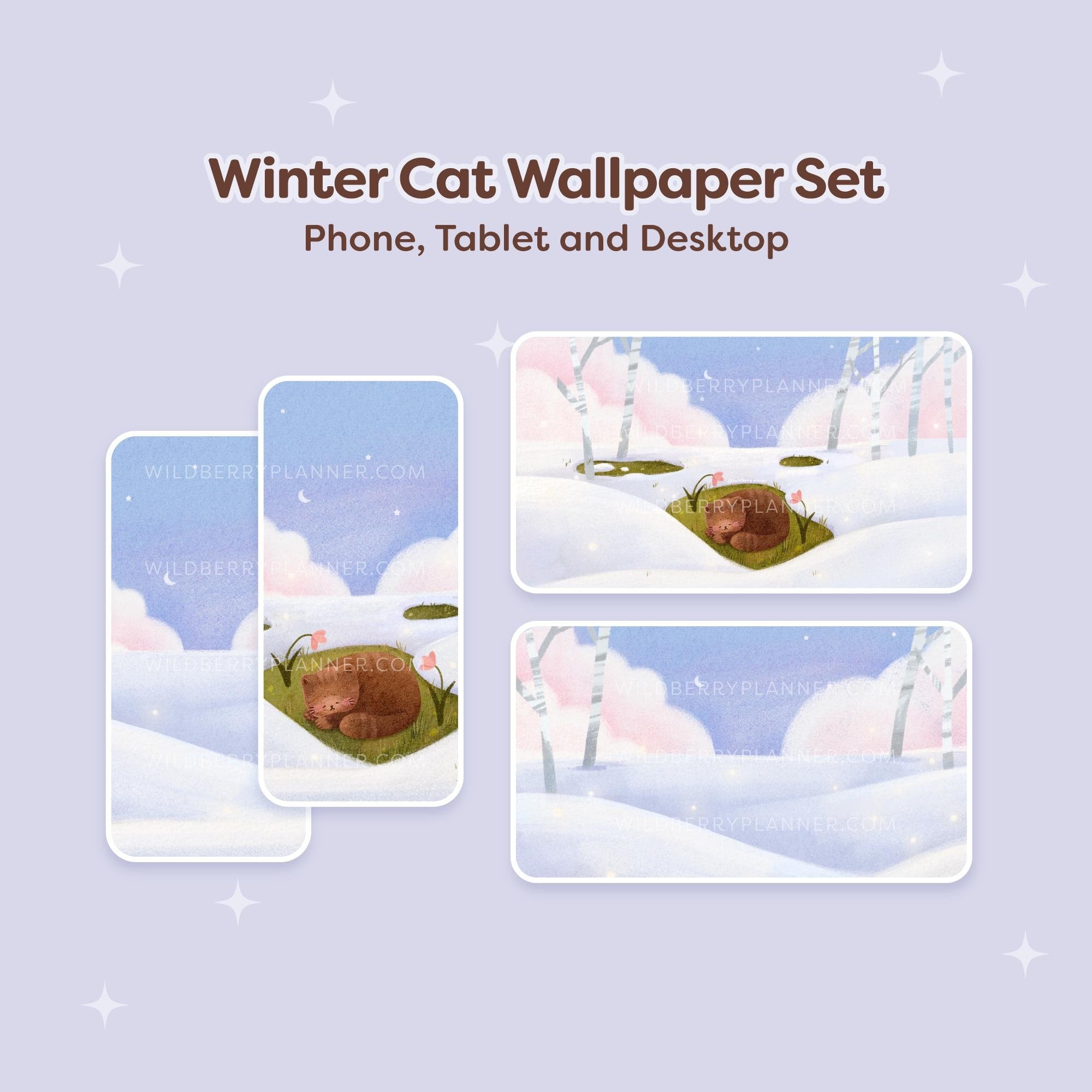 Winter Cat Wallpapers