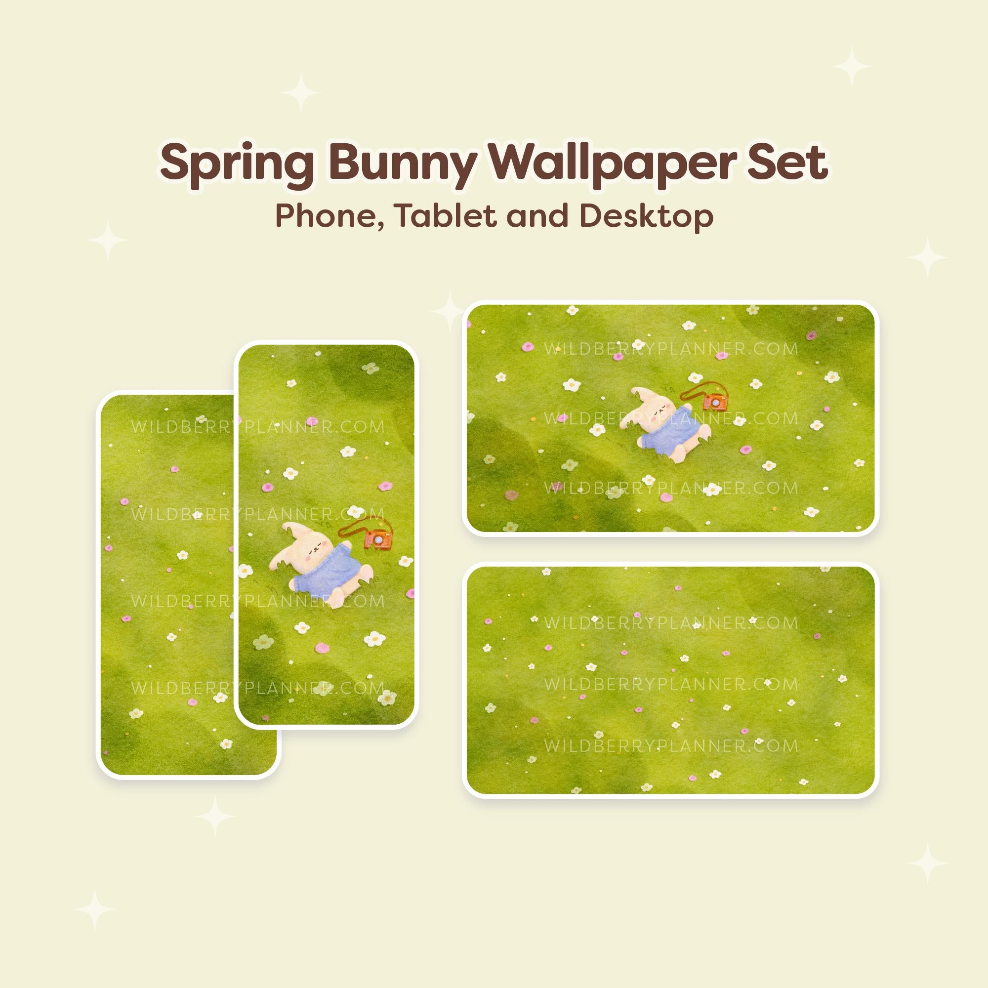 Spring Bunny Wallpapers