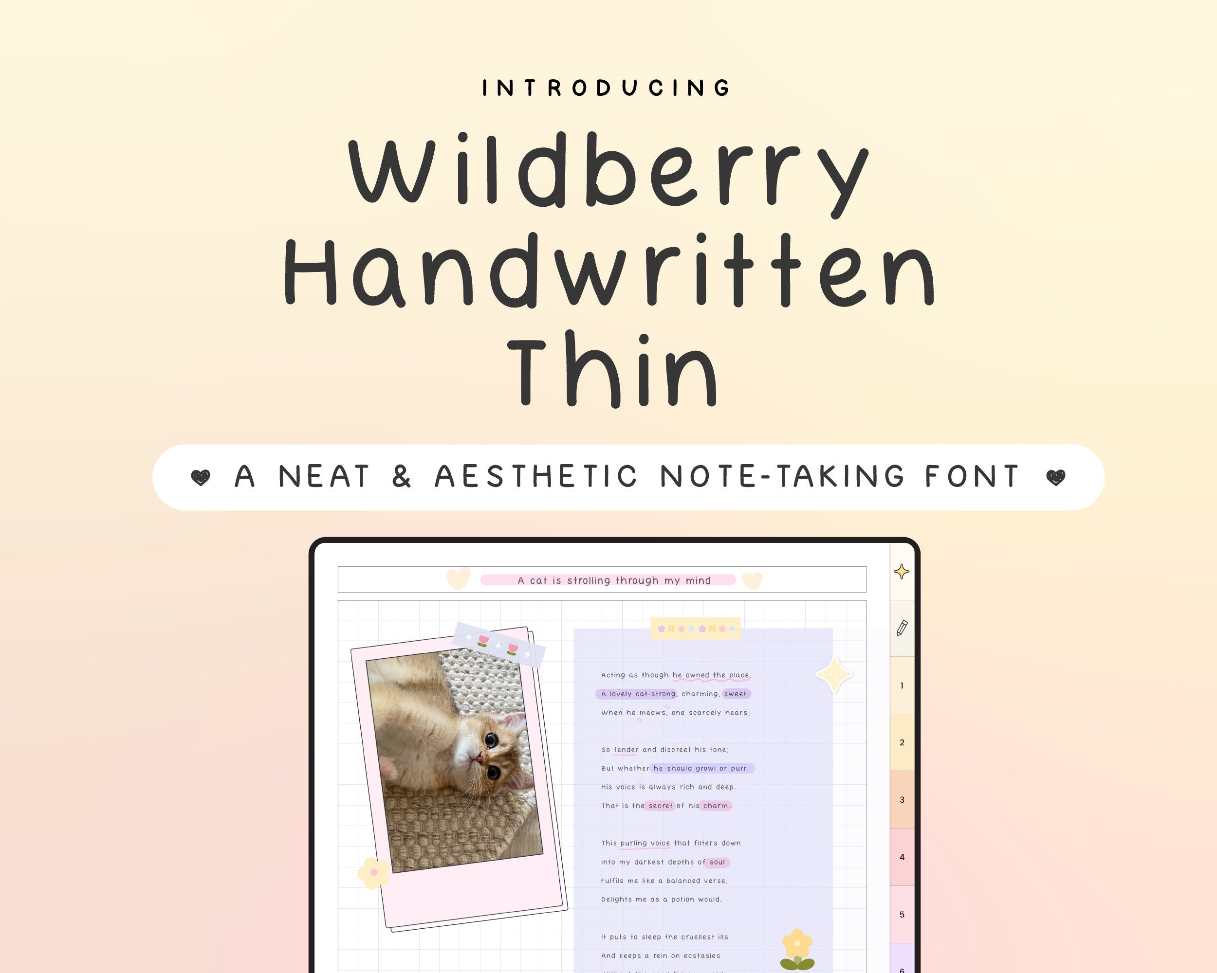 Wildberry Handwritten Font - Thin